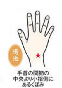 陽池